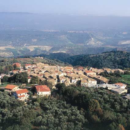 IACURSO
