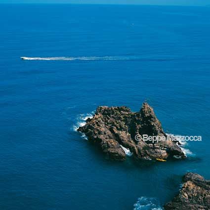 PALMI - L'ULIVARELLO